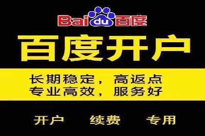 竞价推广公司案例：助力企业实现品牌飞跃